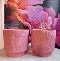 Set Of Two Pink Retro Planters