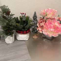 New