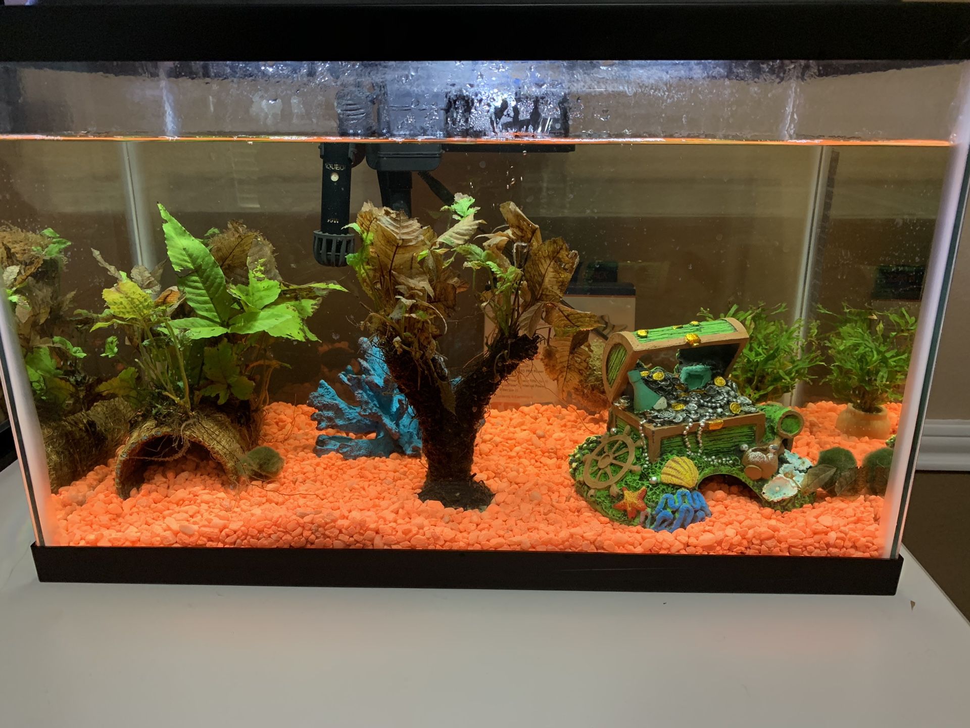 10 Gallon Aqueon Fish Tank and Supplies