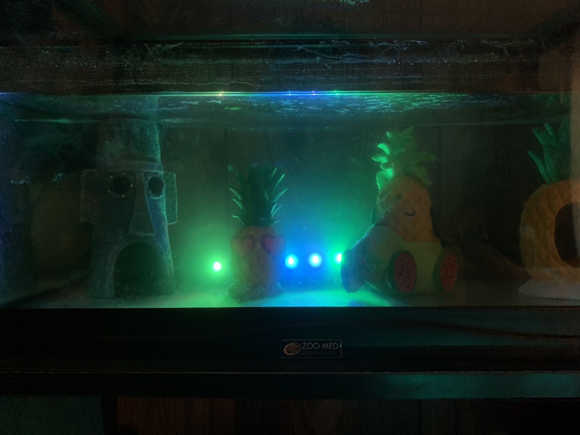 Fish tank/reptile tank