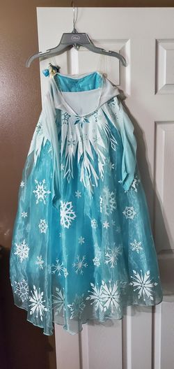 Frozen Costume