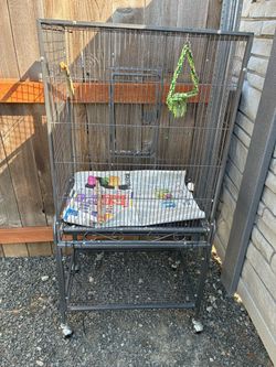 Bird Cage