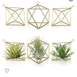 Gold Geometric Air Plant Holders