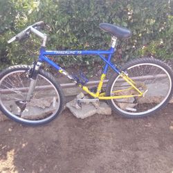 TIMBERLINE.  FS  GT Mountain Bike 