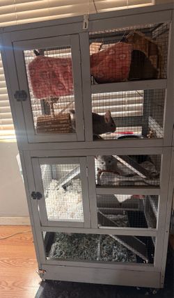 Chinchilla cage + supplies