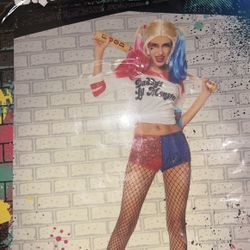 Harley Quinn/Adult Size-Large/Brand New