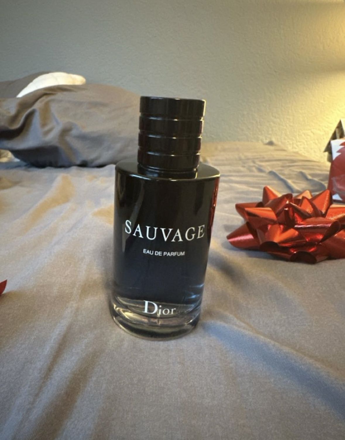 Dior Savage Parfum 95% Full
