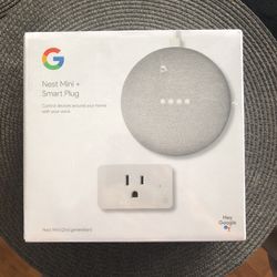 Google Nest Mini + Smart Plug