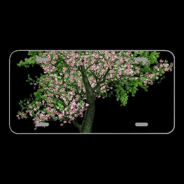 License Plate Novelty Car Front Tree Deciduous Tree Blossom