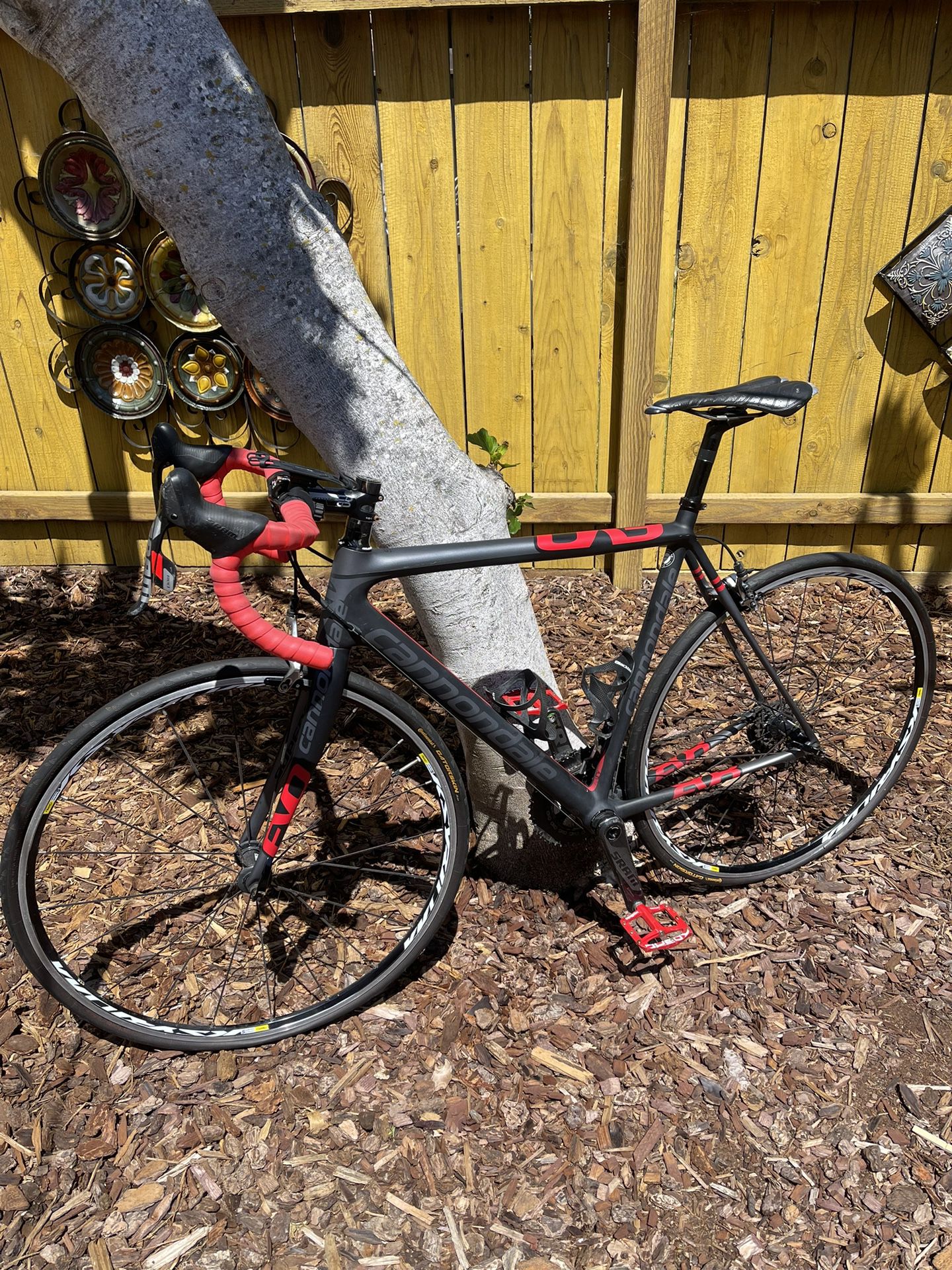 Cannondale Carbon Fiber 56cm Bicycle 