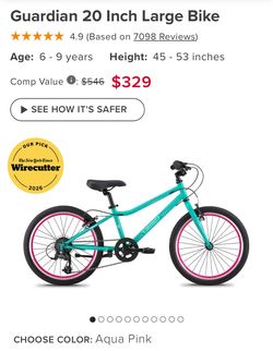 Guardian bike