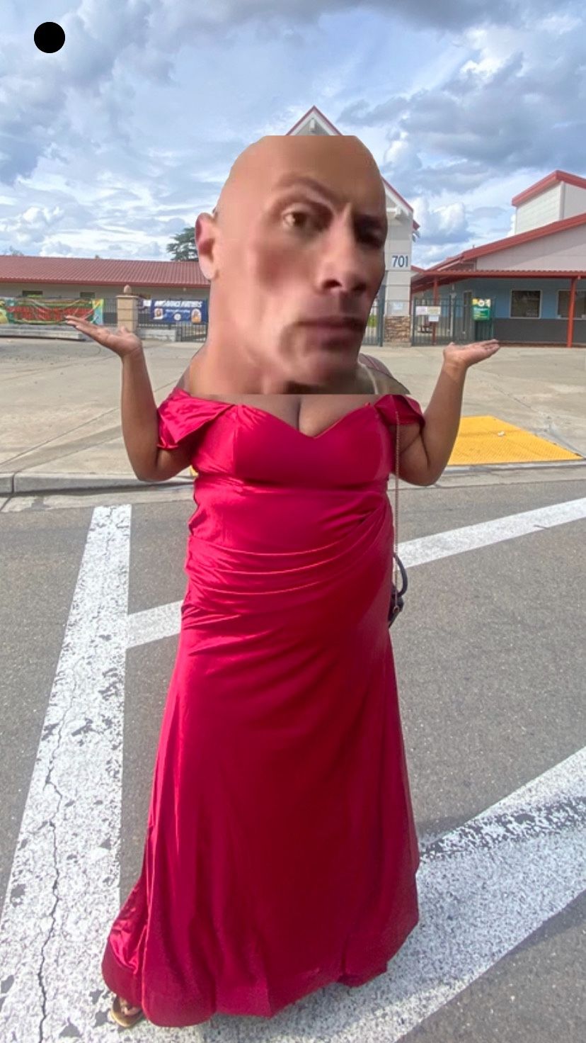 Maggie’s Bridal Prom Dress. Red/burgundy. 3x 