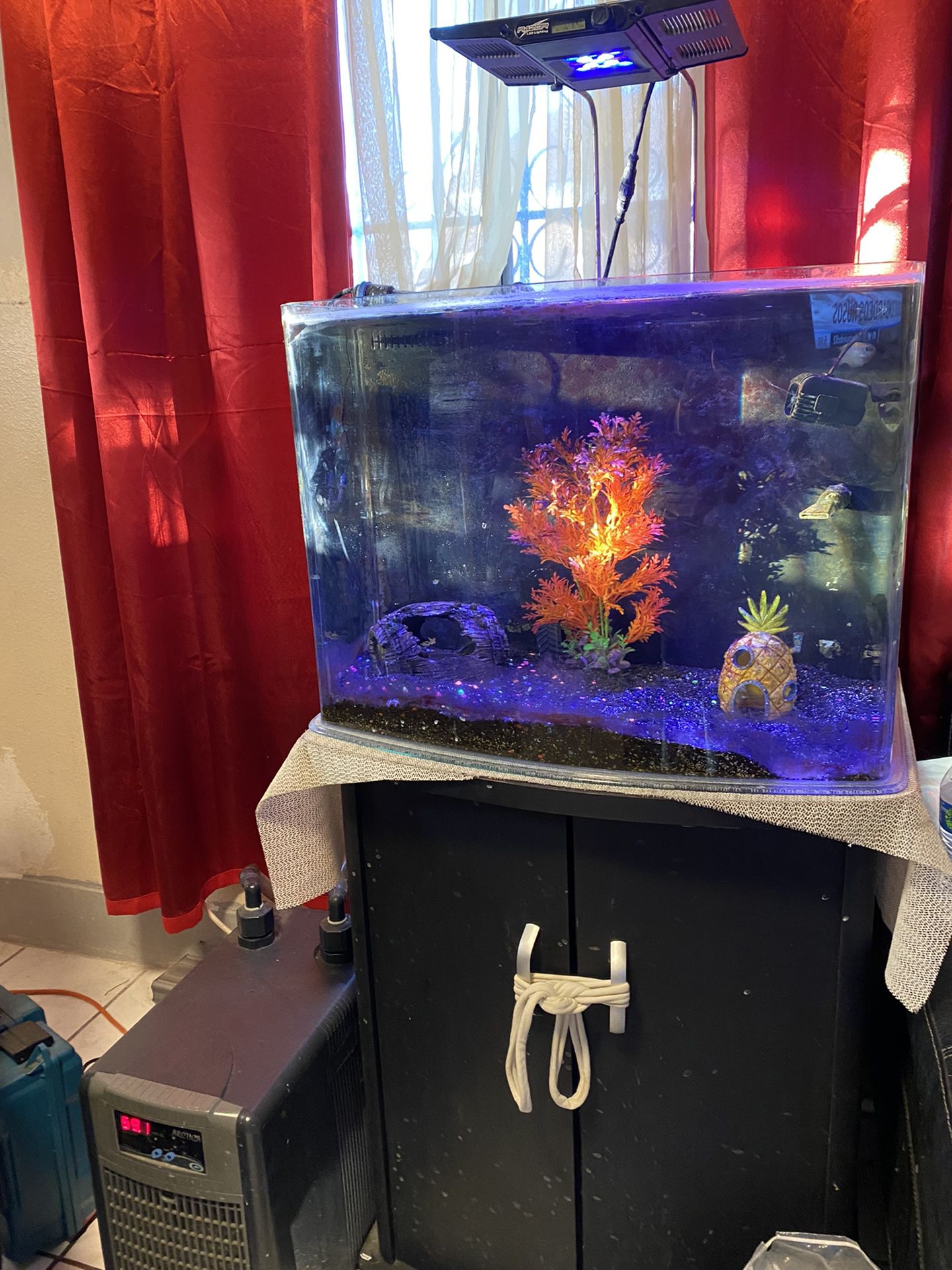 Aquarium 40 Gallon With Chiller & Lighting 
