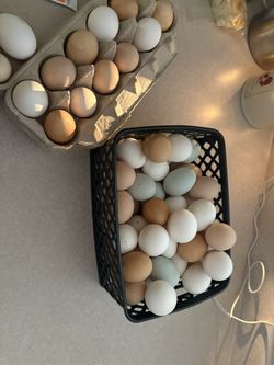 Farm Fresh Eggs