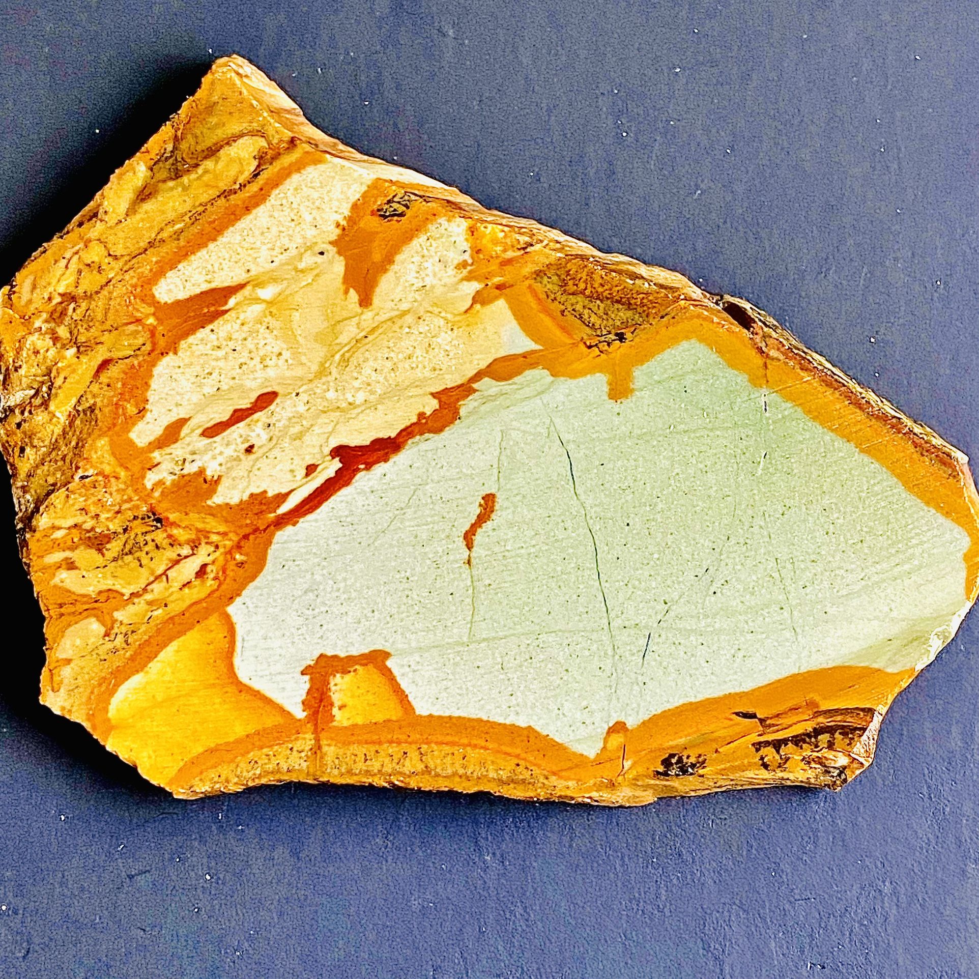 Blue Mustang Owyhee Picture Jasper, Oregon High Quality Cab Stone Slab Slice 3oz