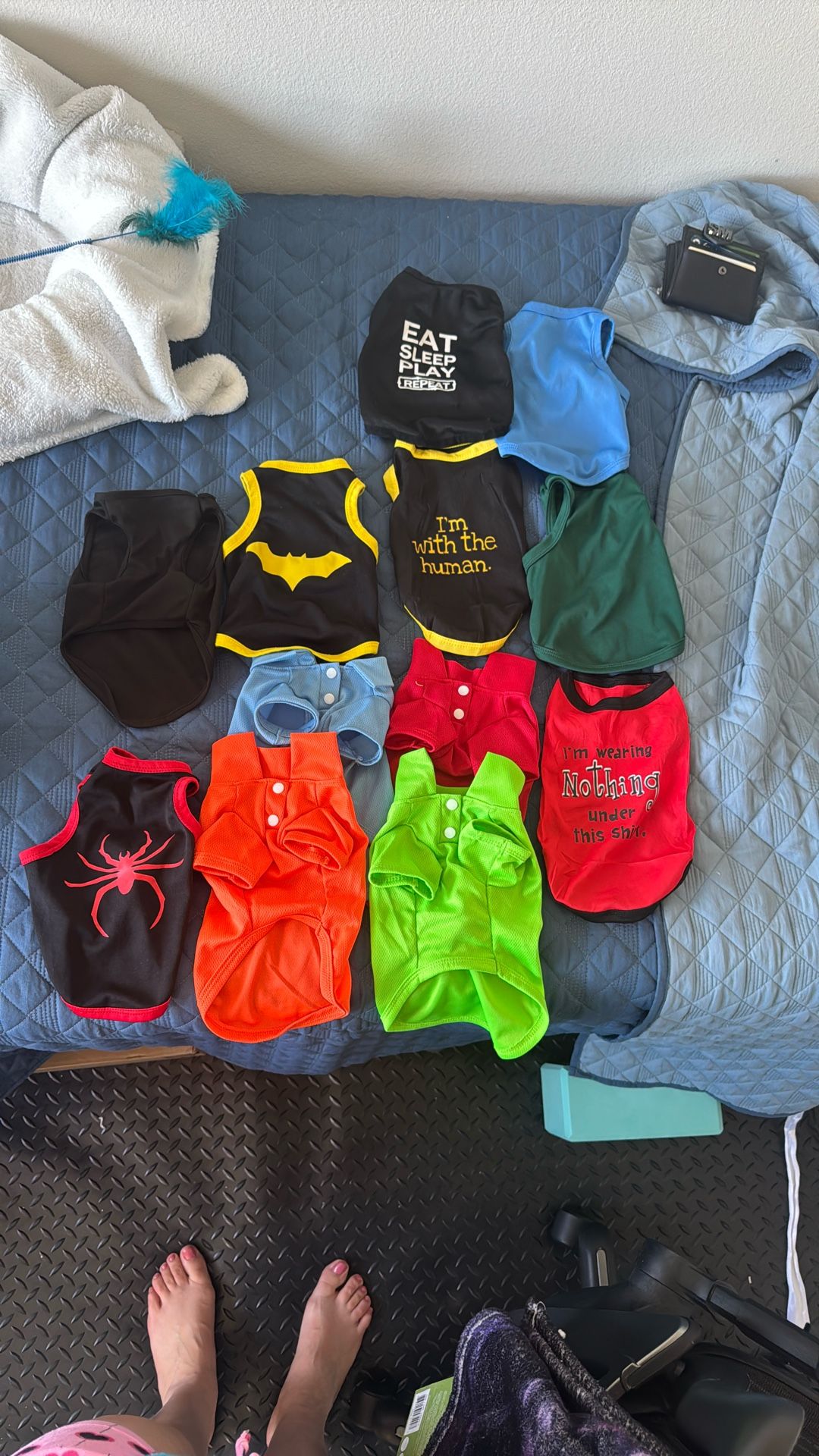 Kitten / Small Puppy Clothes