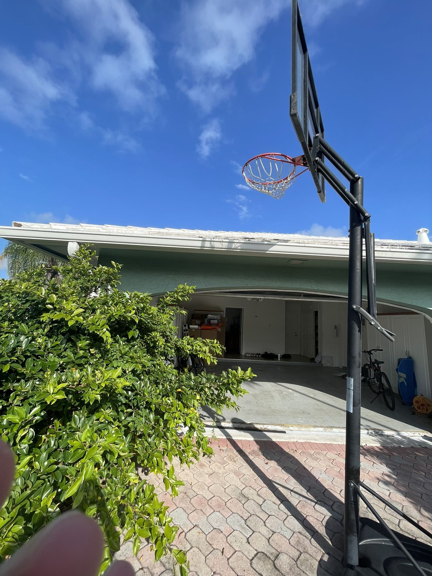 Lifetime Elite Basketball Hoop 