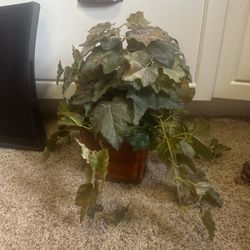 Fake Plant 