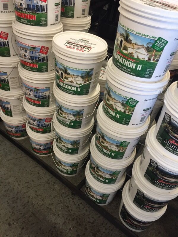 Marathon grass seeds for Sale in Los Angeles, CA OfferUp