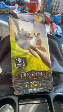 How to train your dragon