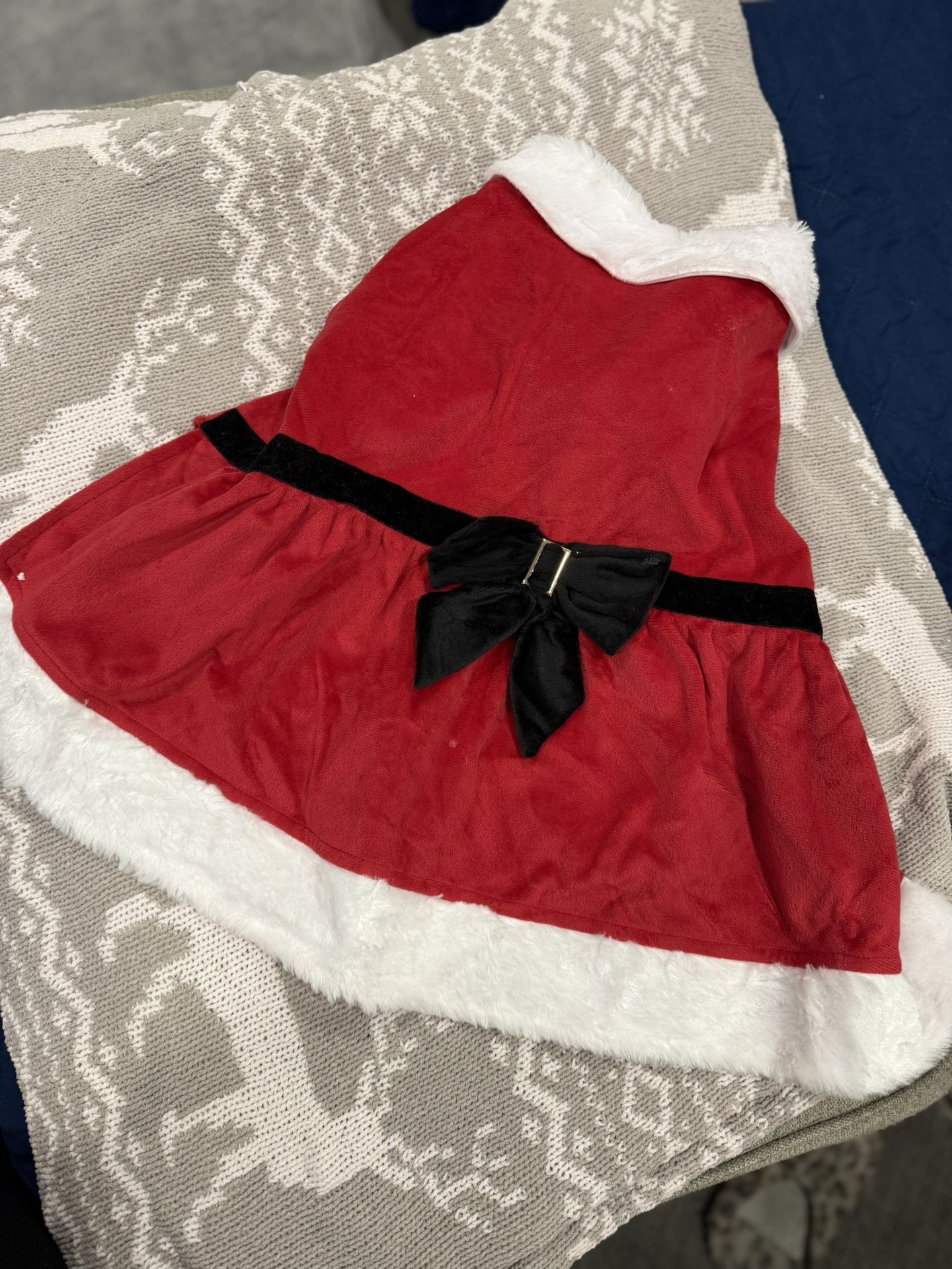 Dog Xmas Santa Dress 