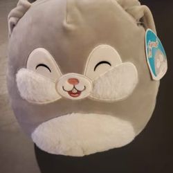 Squishmallow (New w/Tag)