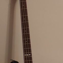 Electric Guitar