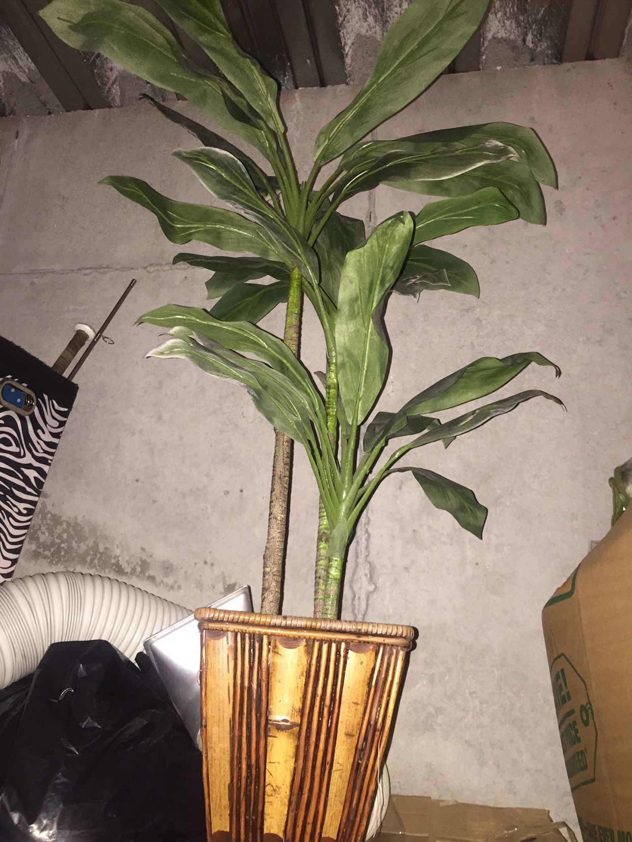 House Plant (fake) beautiful Big palm