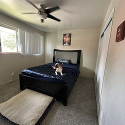 Queen Bed And Box spring 