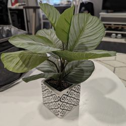 Small Fake Plant With Chevron Pattern Vase