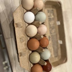 Organic Pasture Raised Eggs 