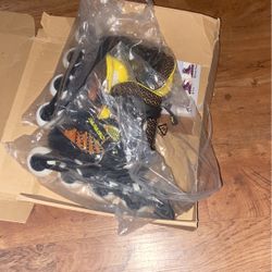 Roller Skates