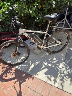 1 electric bike $100, 1 road bike $75 and 1 beach cruiser $50