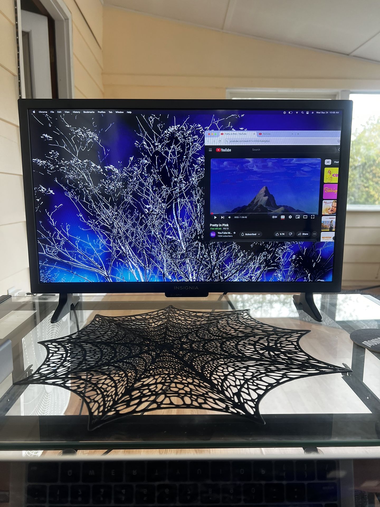 Insignia 24” Monitor