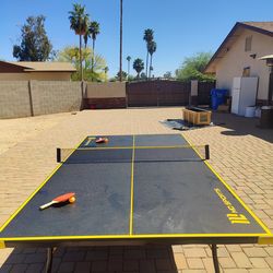 Ping pong table