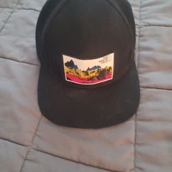 Men's The North Face Flex Fit Hat