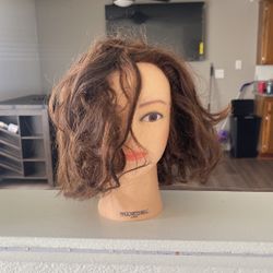 Cosmetology Doll Head
