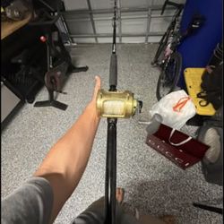 Tiagra 30W / custom Rod 