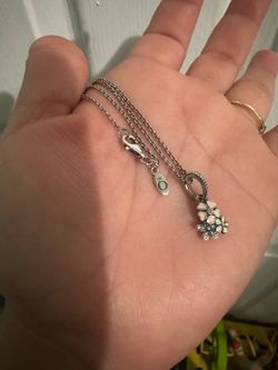 Pandora necklace & pandora charm