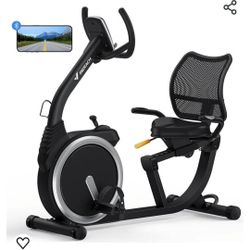 Recumbent Exercise Bike