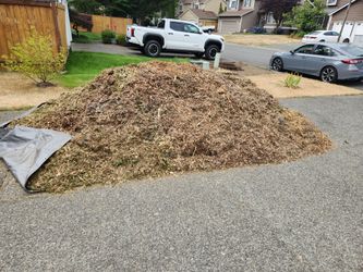 Free Mulch