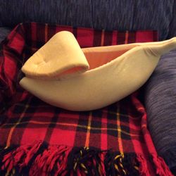 Kitten Banana Bed