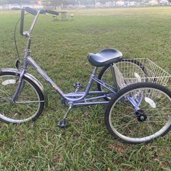 Sun Adult tricycle