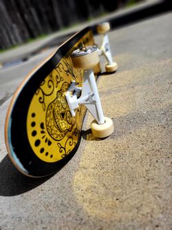 Skate Board