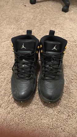Air Jordan 12 Retro "The Master