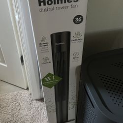 Fan