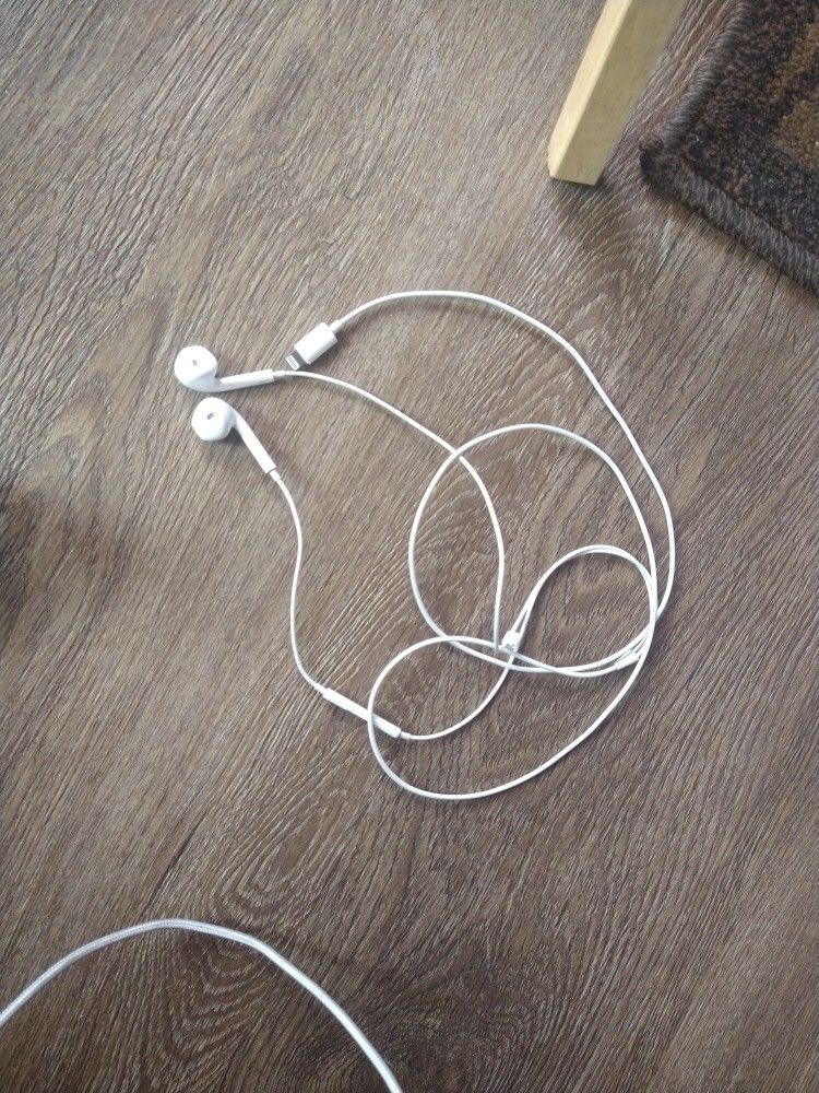 Iphone Headphones 