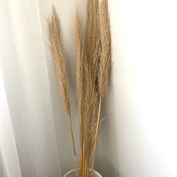 68 inch pampas no vase included