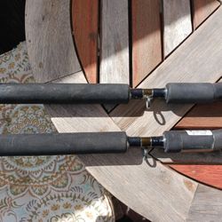Fishing Rods 