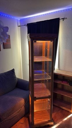 Light Up Cabinet